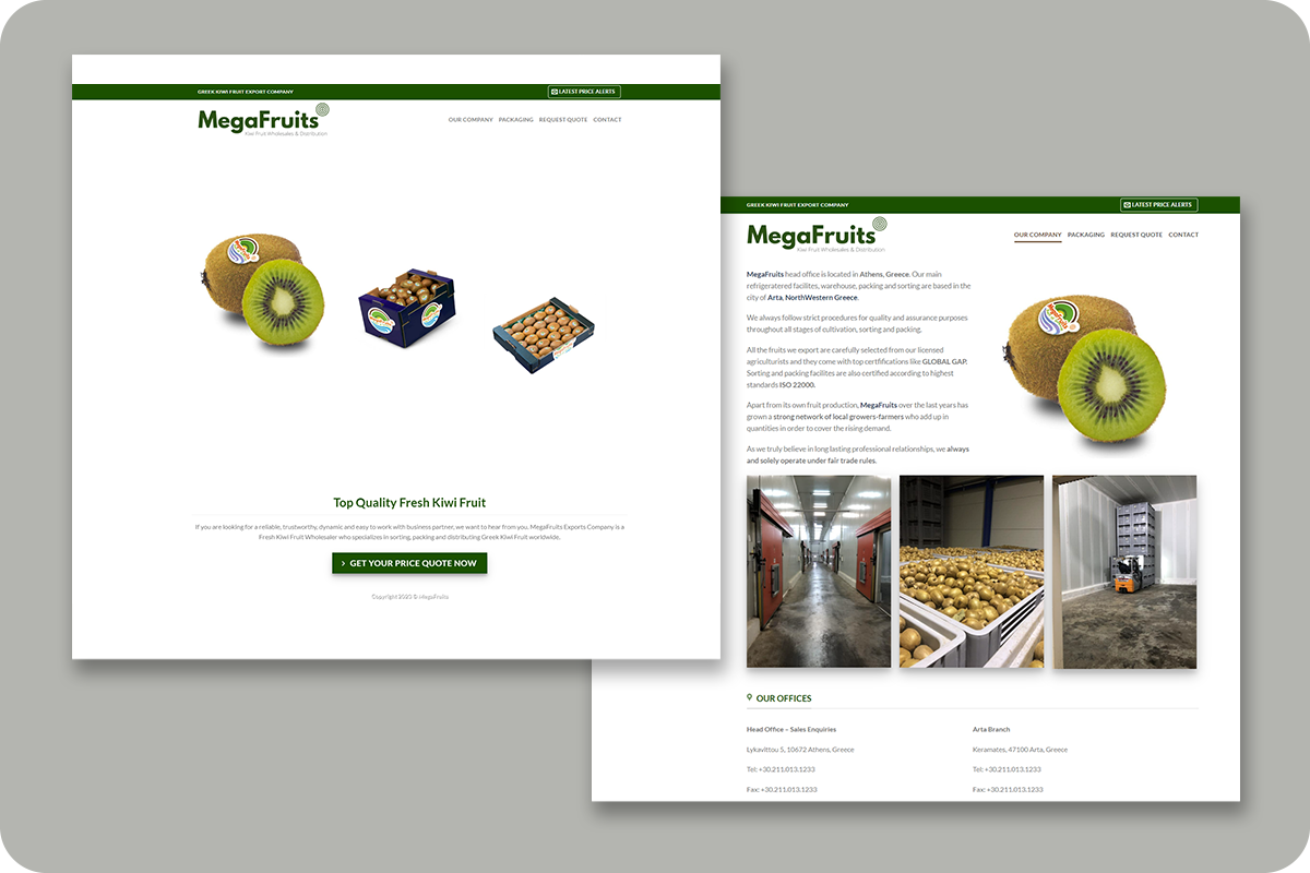 Megafruits - Web Design GNCWeb.gr